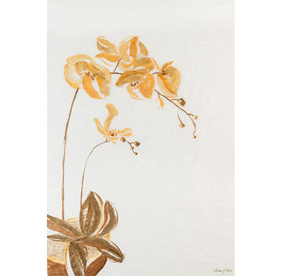 Golden Orchid 2
