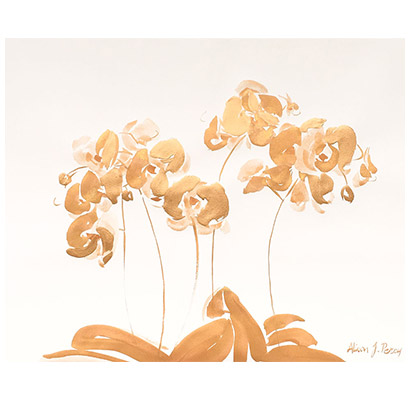 Bronze Orchids