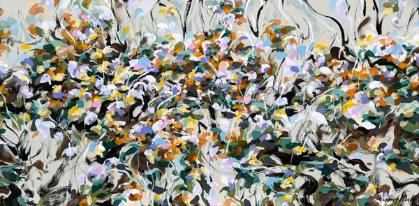 High Country Wildflowers 2